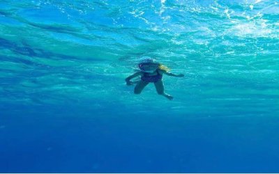 Alanya Şnorkelle Yüzme Turu